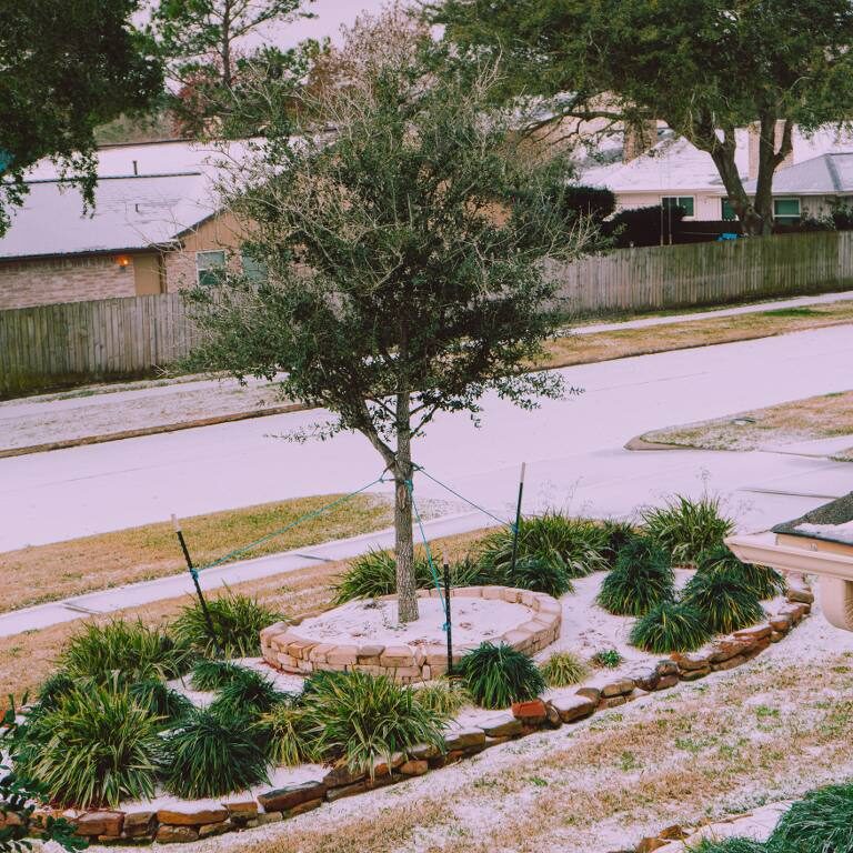 Snow and salt
